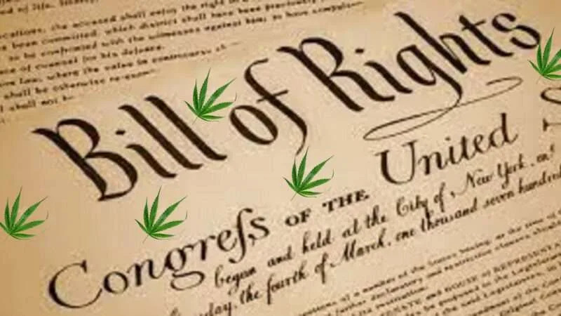 Does the Constitution Protect the Right To Get High?