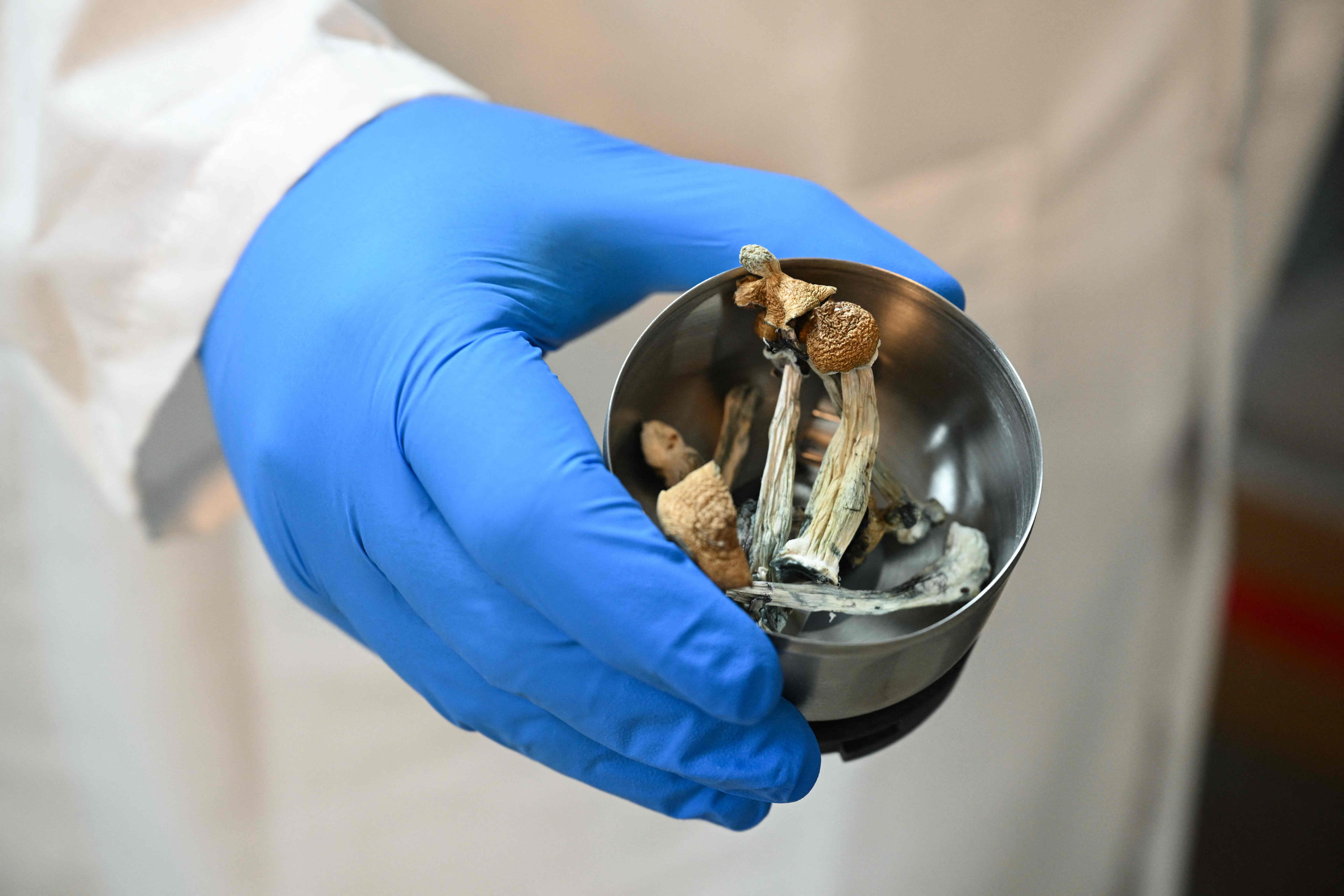 Companies looking to offer psychedelic drug therapy coverage for employees: report