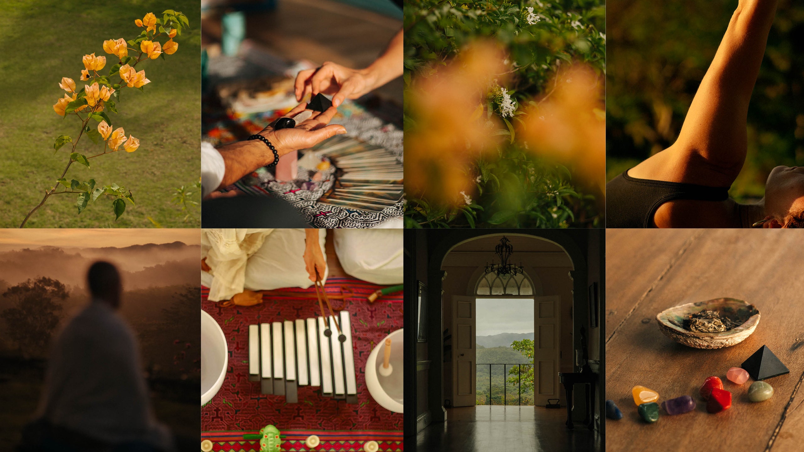 Psychedelic Travel Experiences Are More Popular Than Ever