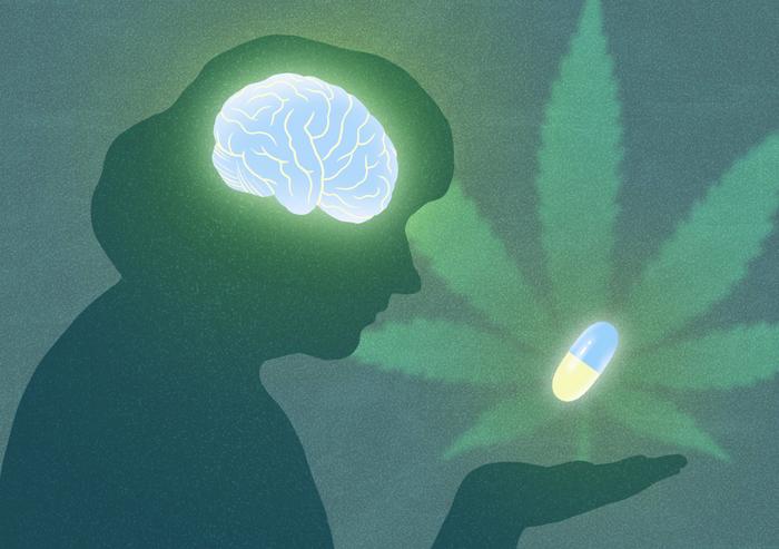 CBN: A Potential Neuroprotective Compound from Cannabis