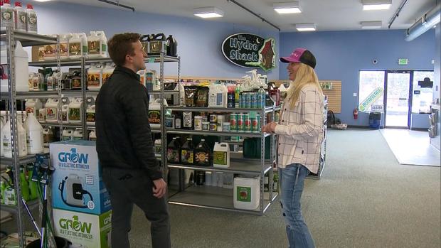 Decline in demand for marijuana in Colorado leads to tough decision for Frisco business