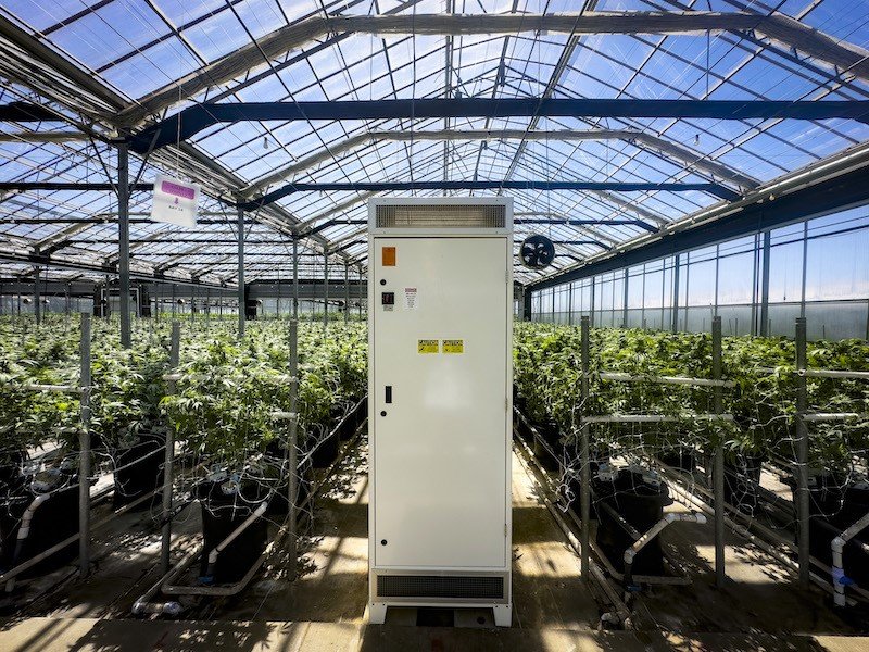 County Supervisors punt on cannabis odor control: Board votes 3-2 for another study on how to solve a six-year-old problem