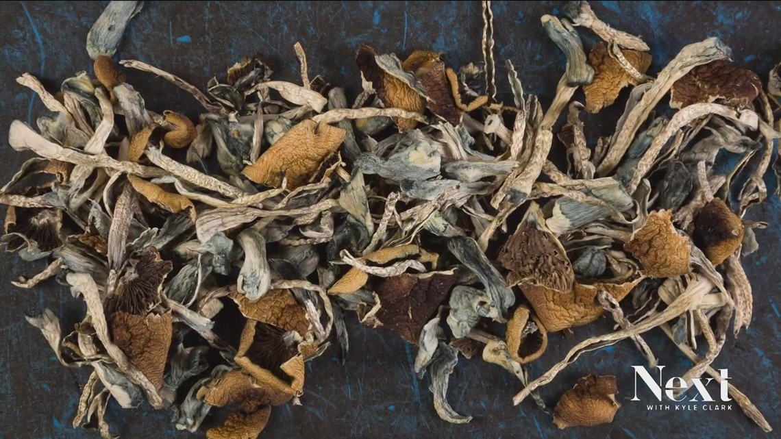 Study offers guidance on how Colorado should regulate, monitor psychedelic use