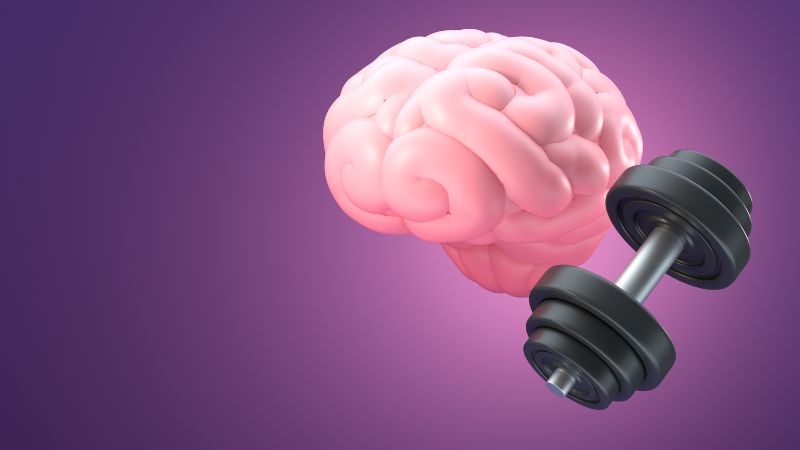 Top 8 Best Brain Health Supplements in 2024