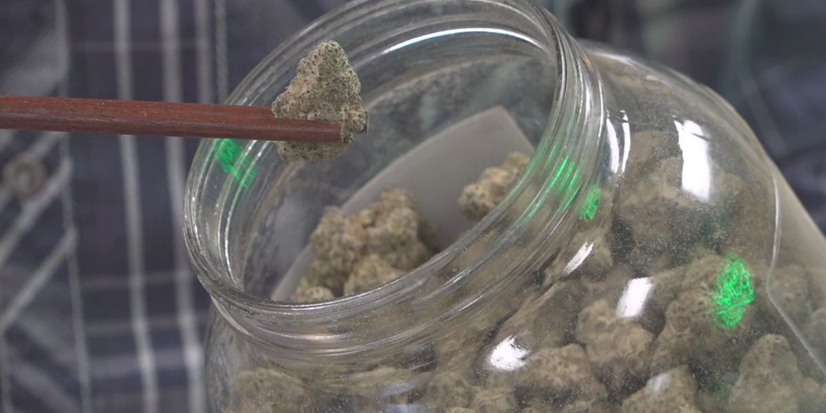 Drug Enforcement Agency pushing to get marijuana re-classified