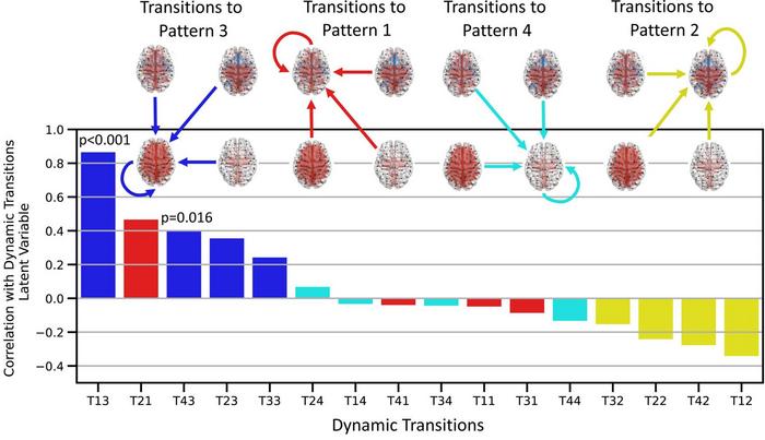 Psychedelic drug-induced hyperconnectivity in the brain helps clarify altered subjective experiences