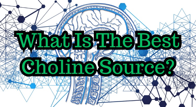 What Is The Best Choline Source?