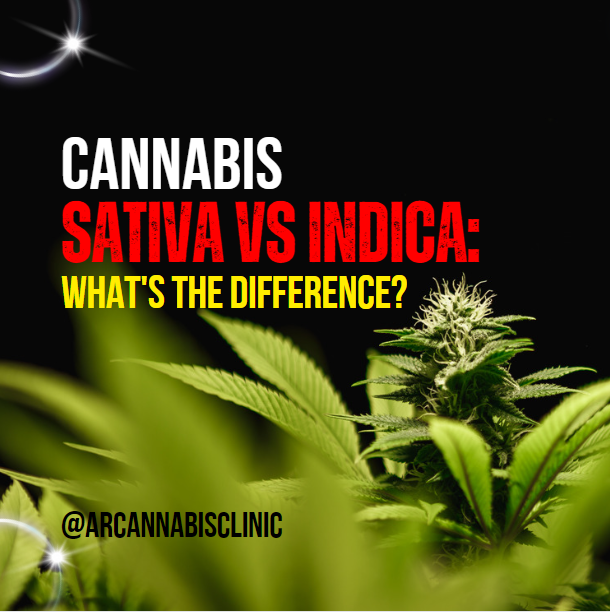 Cannabis Sativa Vs Indica: What's The Difference?
