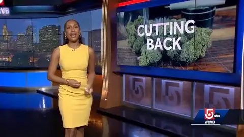 Marijuana losing its mojo? Boston Massachusetts General Hospital expert's tips to cut back