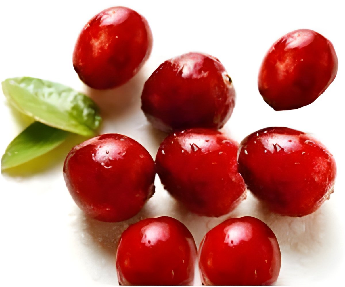 Revitalizing Gut Health: The Power of Cranberry Extracts
