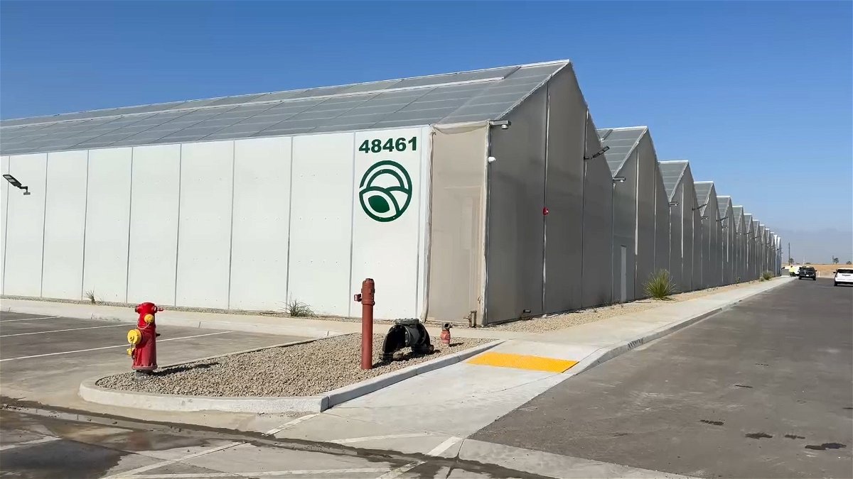 Ribbon-cutting held for 1M square-foot cannabis cultivation campus in Coachella