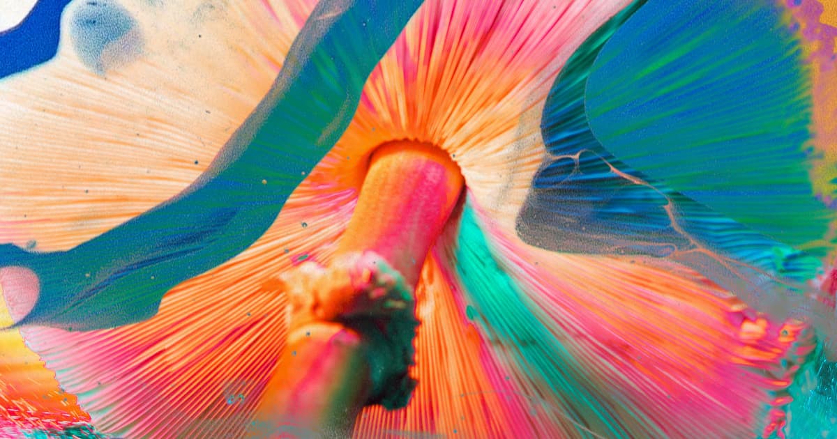 Therapists Warn That Taking Magic Mushrooms for Treatment Can Lead to Unwanted Romantic Feelings