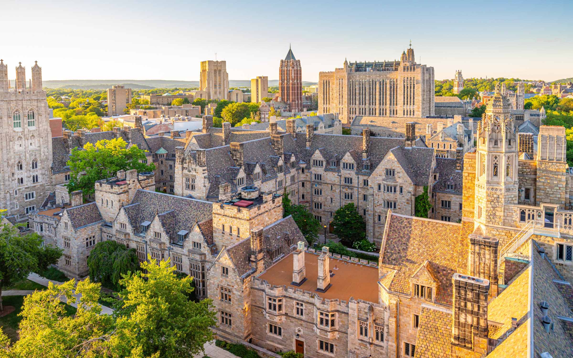 Yale Researchers To Study Psilocybin for PTSD, Mental Conditions