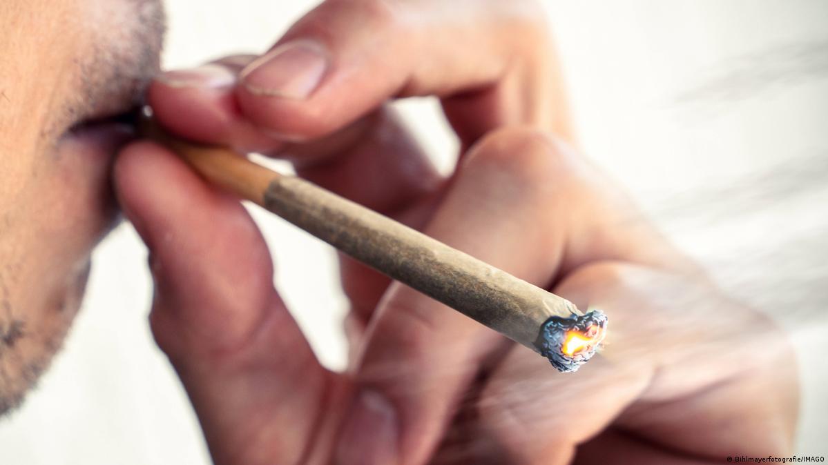 Cannabis Uses: Intoxicant as Medication