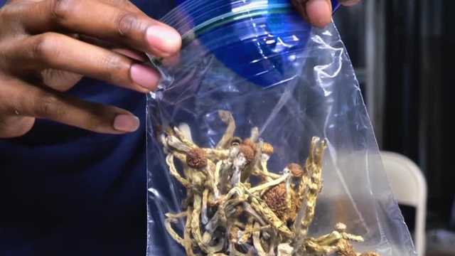 Things to know about microdosing psychedelics