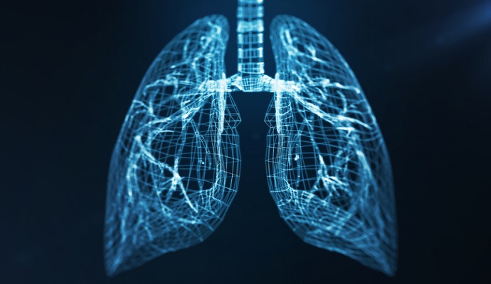 Deep learning links lung shape differences and COVID-19 severity