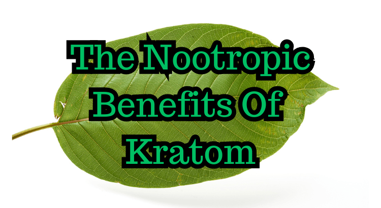 The Nootropic Benefits Of Kratom