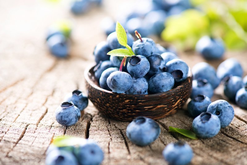 13 Nootropics to Boost BDNF