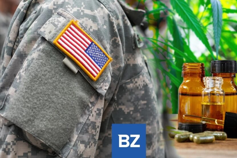 House Approves GOP Spending Package To Include Medical Marijuana Access For Veterans