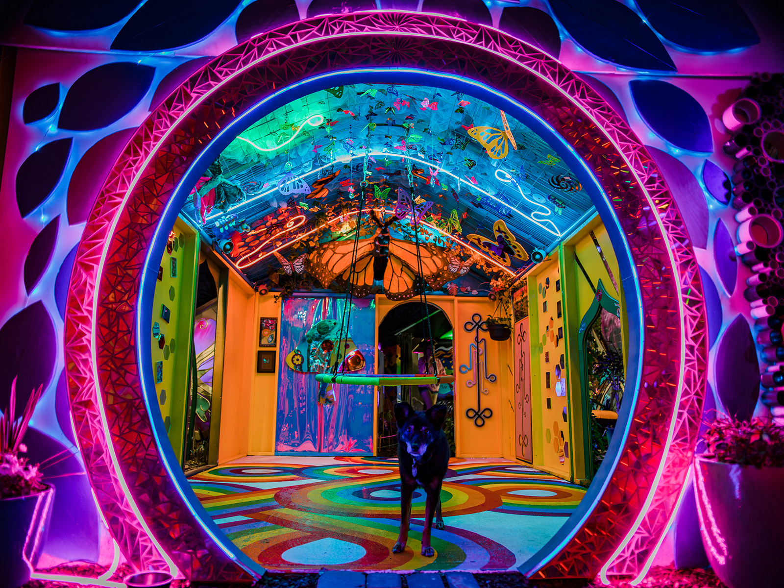 5 Trippy Reasons to Attend the First-Ever Denver Shroom Fest