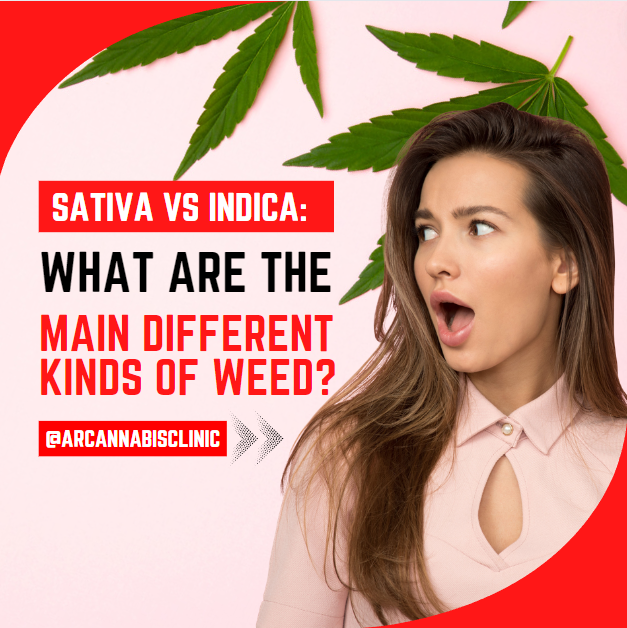 Sativa Vs Indica: What Are The Main Different Kinds Of Weed?