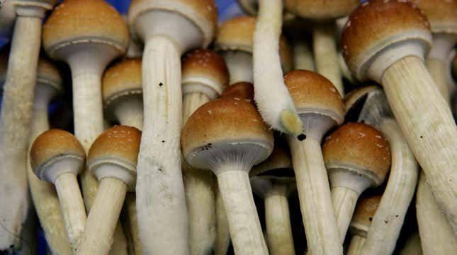 Psychedelic Mushrooms Grew in a Man's Veins After He Injected Them
