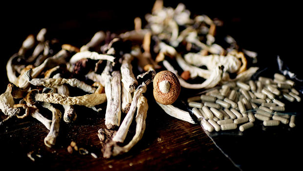 Denver wants your help developing policy for magic mushrooms
