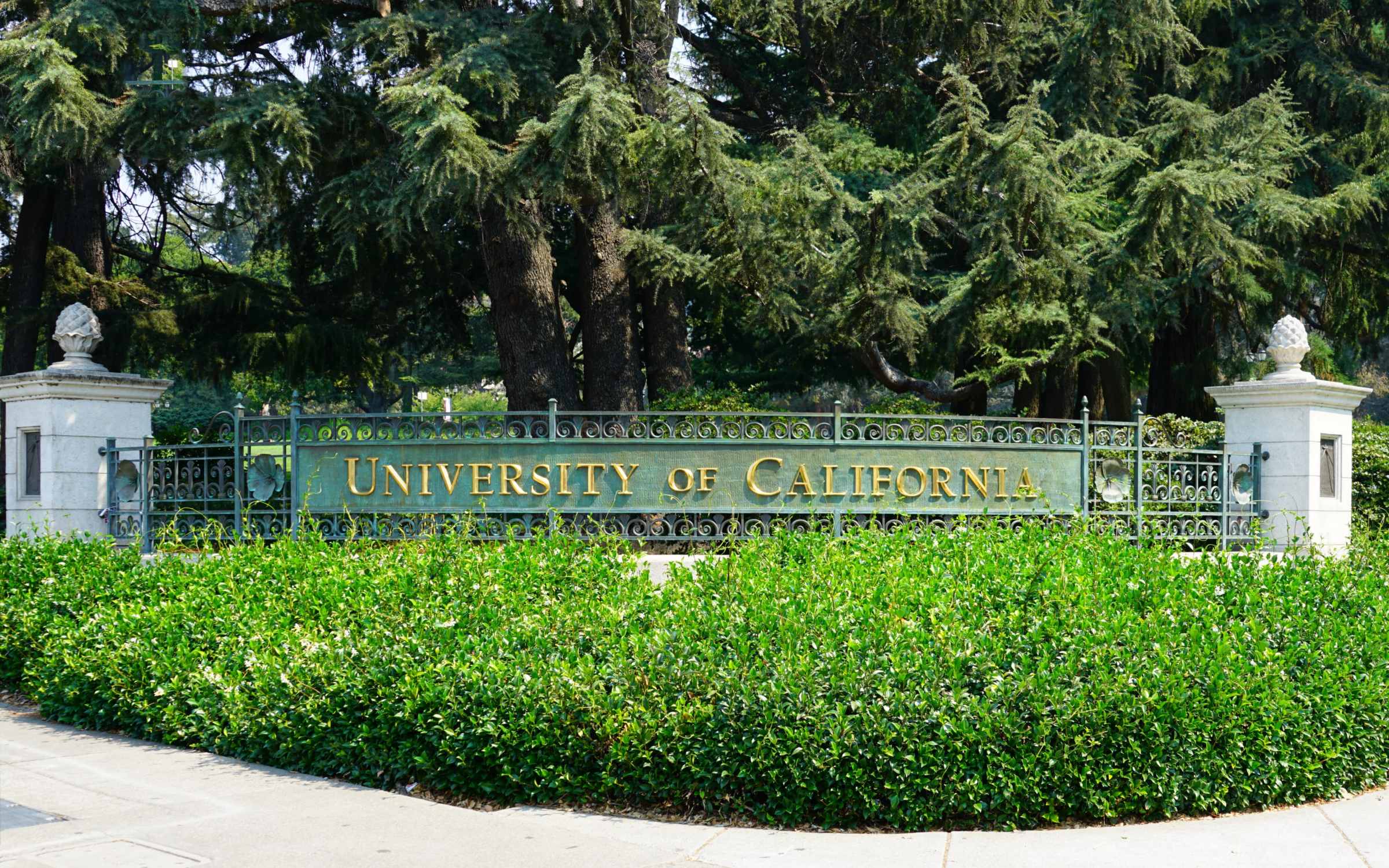 UC Berkeley To Enlist Human Subjects in Groundbreaking Psilocybin Study