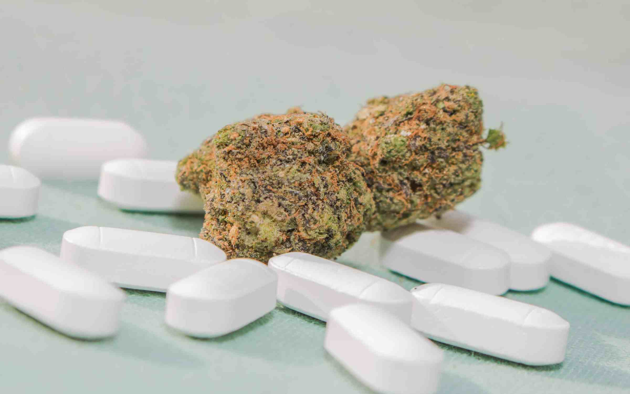 Study Finds Lower Opioid Prescription Rates in Areas with Cannabis Dispensaries Nearby