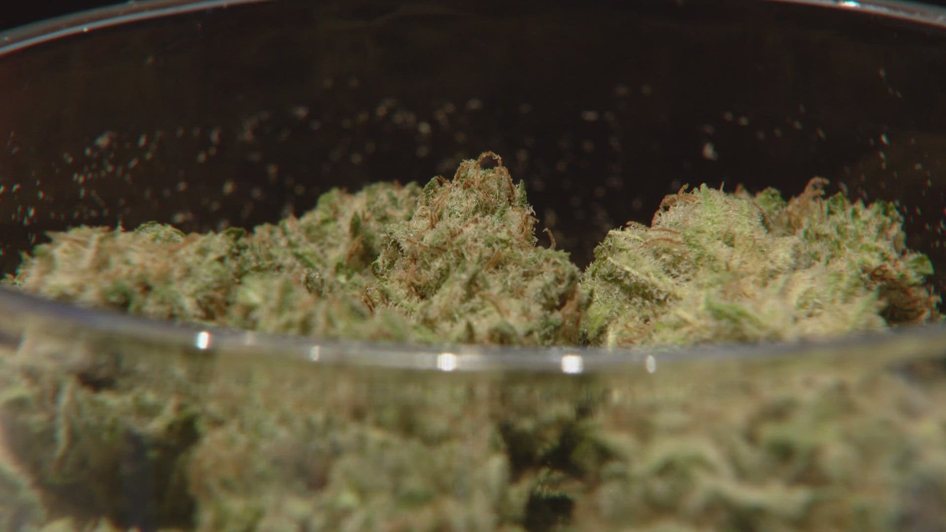'Potentially contaminated' marijuana recalled in Colorado, health advisory issued