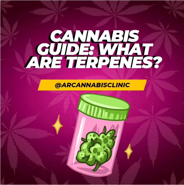 Cannabis Guide: What Are Terpenes?