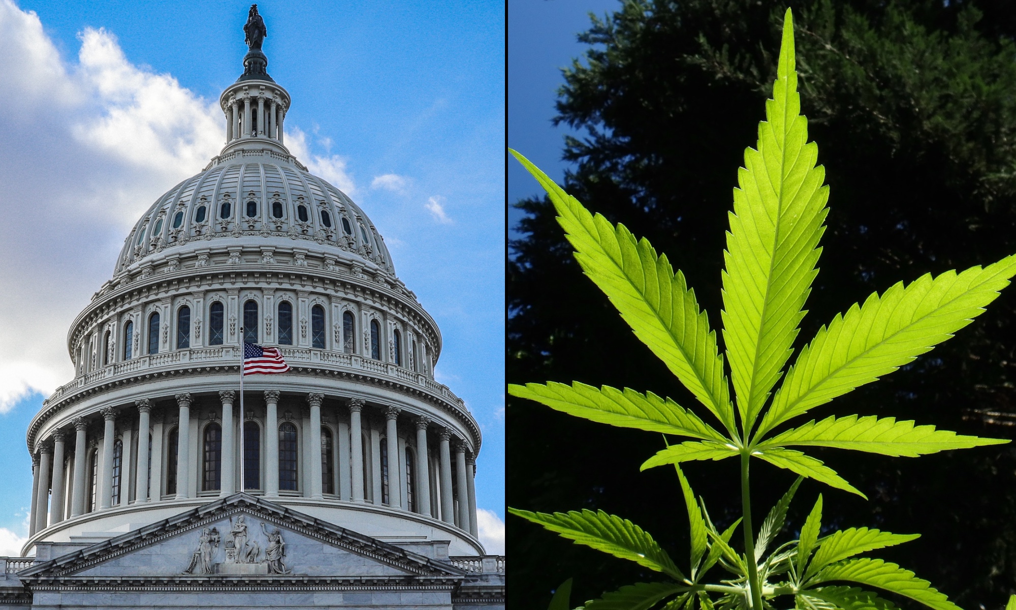 Senators Will Vote On ‘DOOBIE Act’ To Prevent Agencies From Using Past Marijuana Use To Deny Employment And Security Clearances Next Week