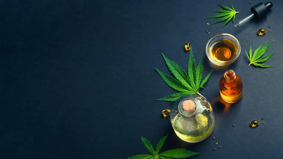 How Cannabis Gummies Can Address Common Health Concerns From Anxiety to Insomnia