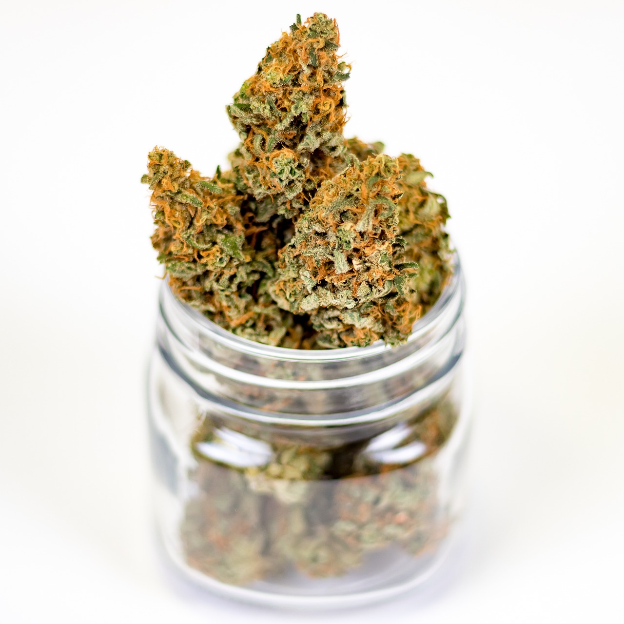 Cannabis Use in Chronic Musculoskeletal Pain Management: Patterns and Efficacy