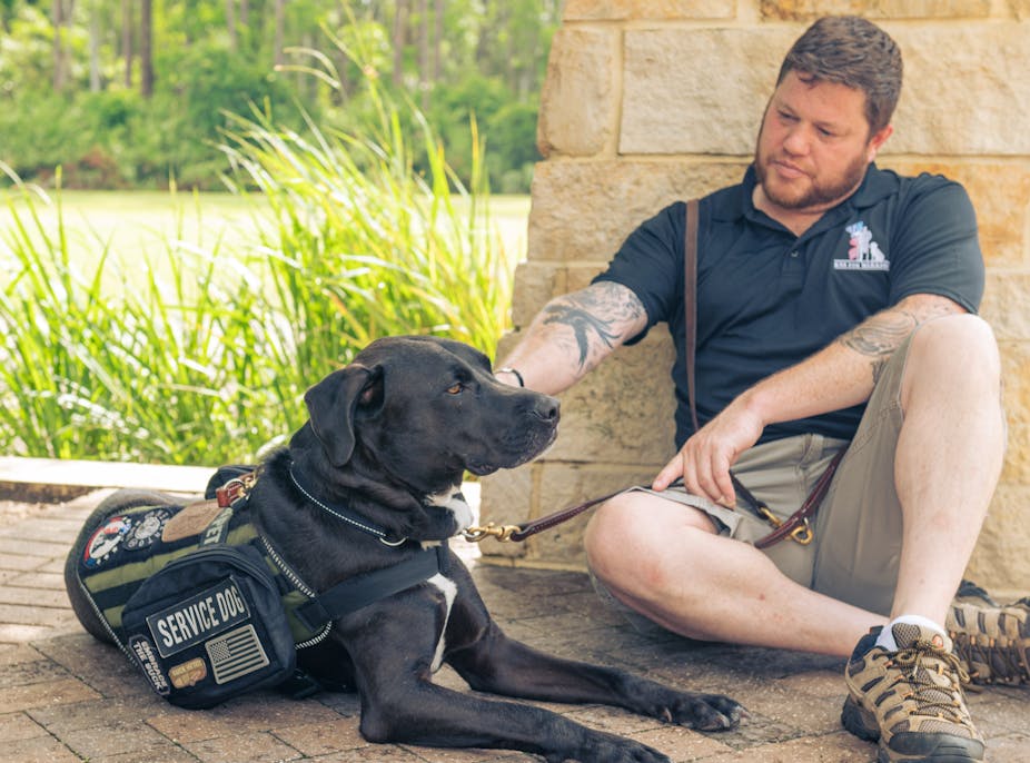 Service dogs can reduce the severity of PTSD for veterans – new research