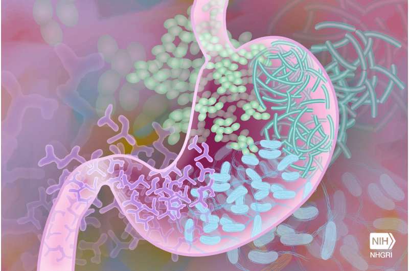 Athletes looking for a competitive edge may find it within their gut microbiome