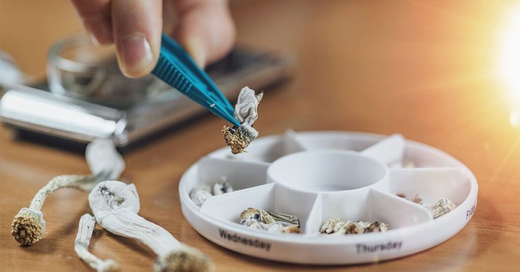 UC San Diego Study Links Policy Shifts to 1250% Rise in Microdosing Searches