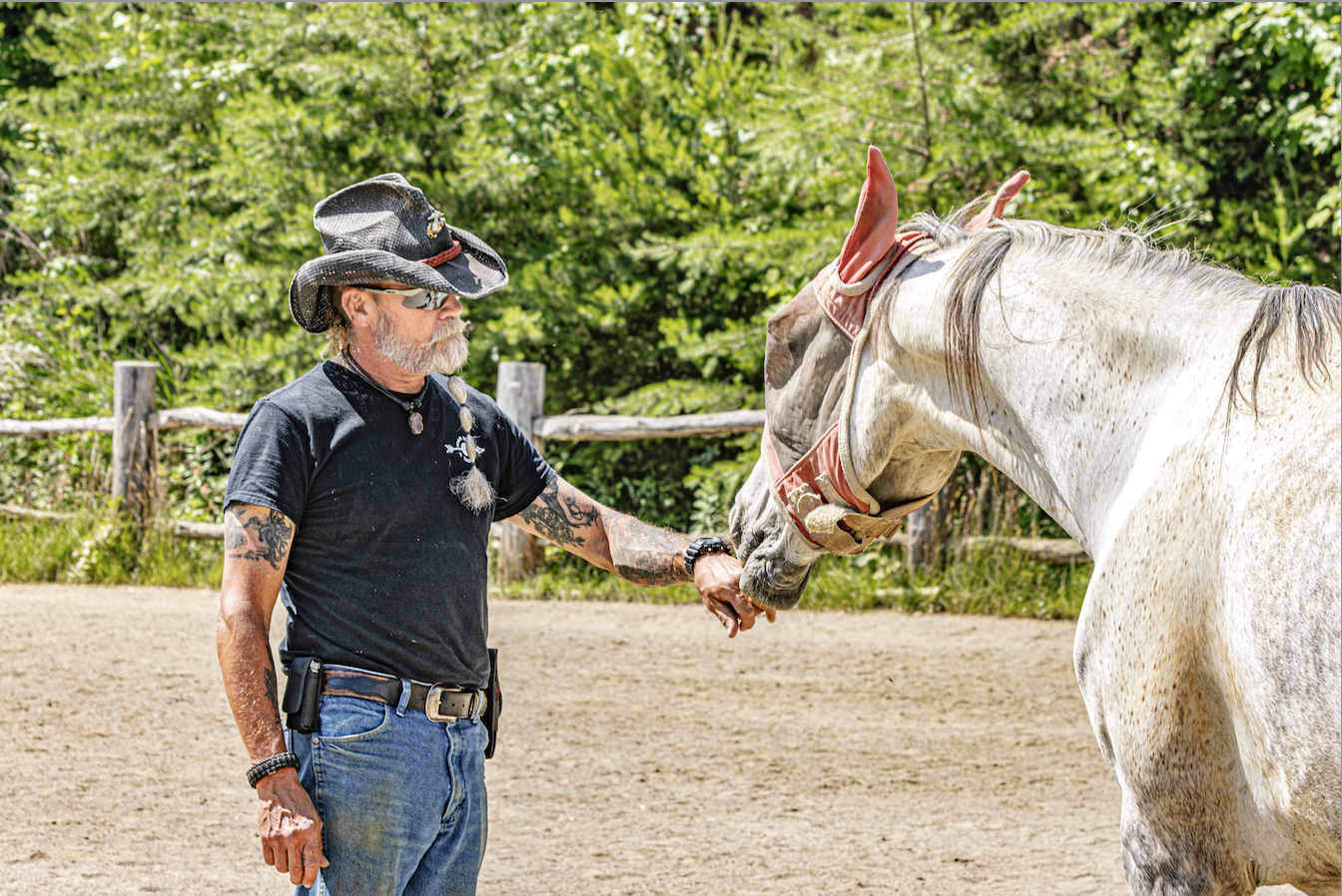 Veterans find healing by working with horses