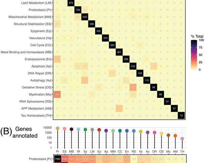 New analysis offers most comprehensive roadmap to date for more targeted Alzheimer's research, drug discovery