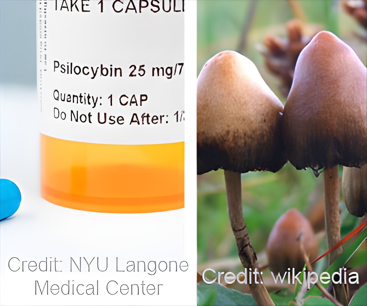 Mushroom Gummies May Contain Illegal Hallucinogens