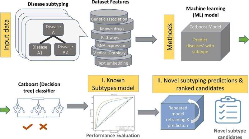 Researchers develop machine learning model to identify disease subtypes