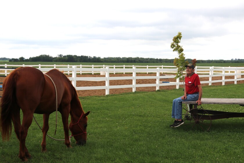 Veteran finds hope from Gaits of Hope equine-assisted therapy after suicidal thoughts