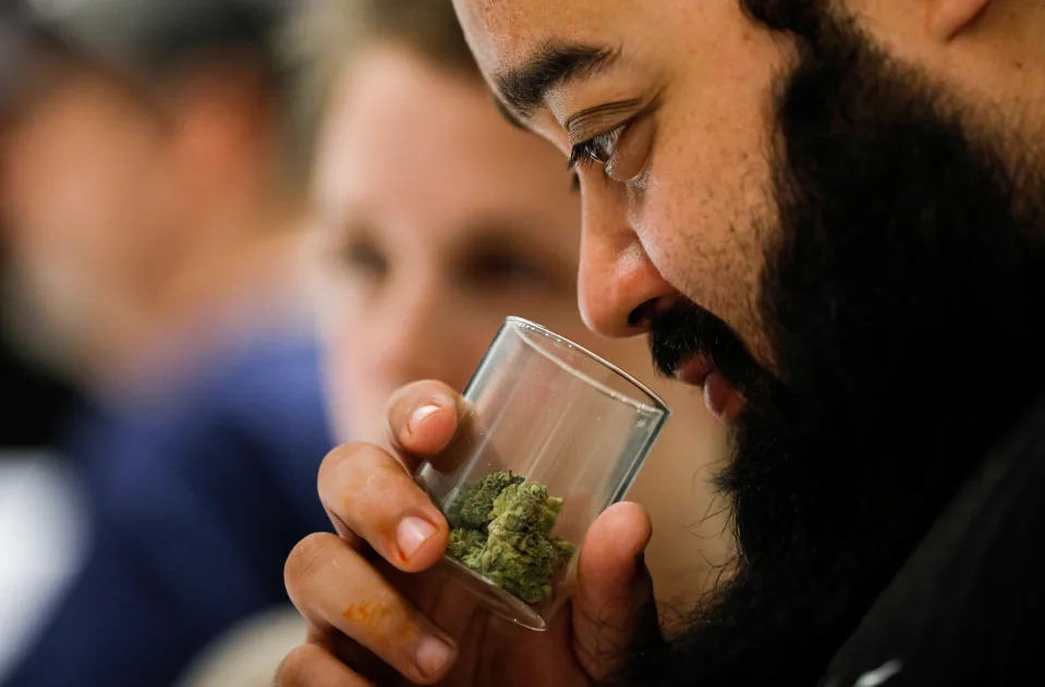 Newcomer Missouri surpasses 'weed capital' Colorado in marijuana sales for 2024