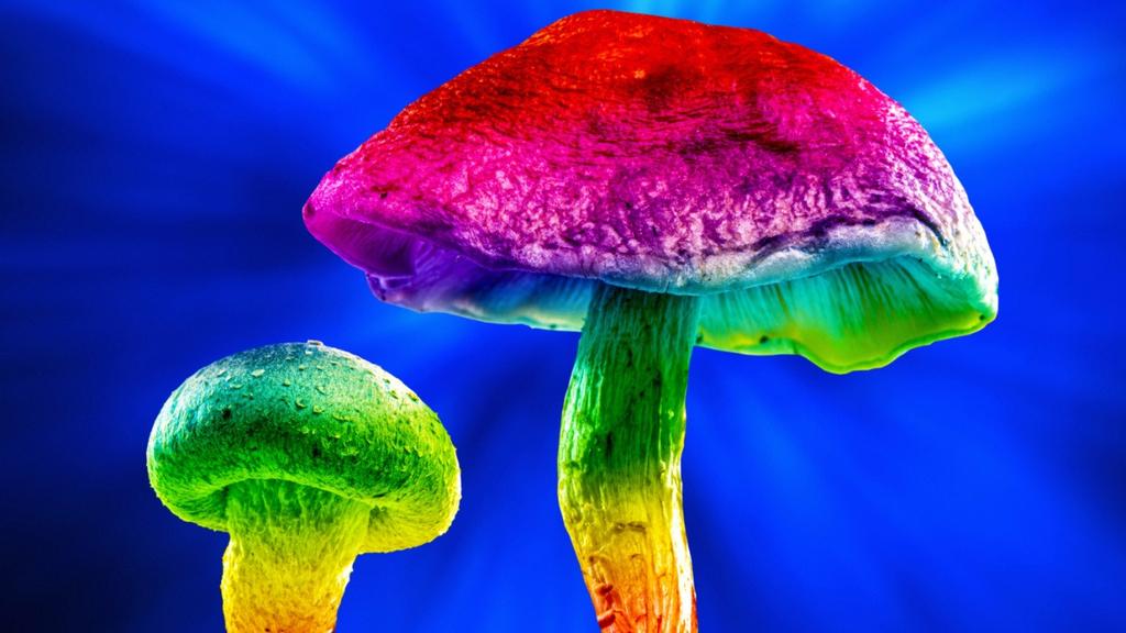 How Tryptamine is pioneering precision psychedelic treatment