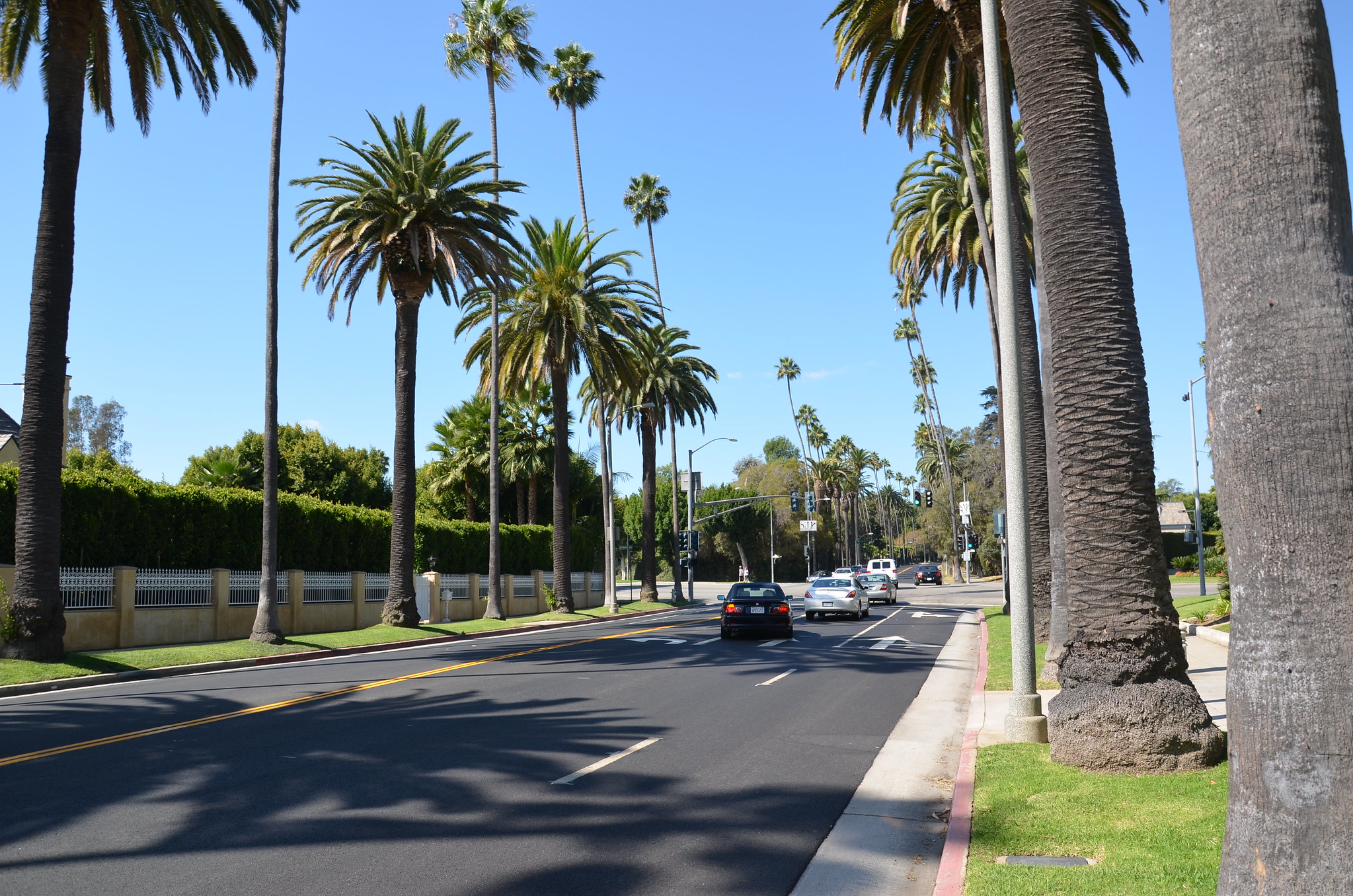 Federal Study Aims To Solve Cannabis-Impaired Driving Conundrum