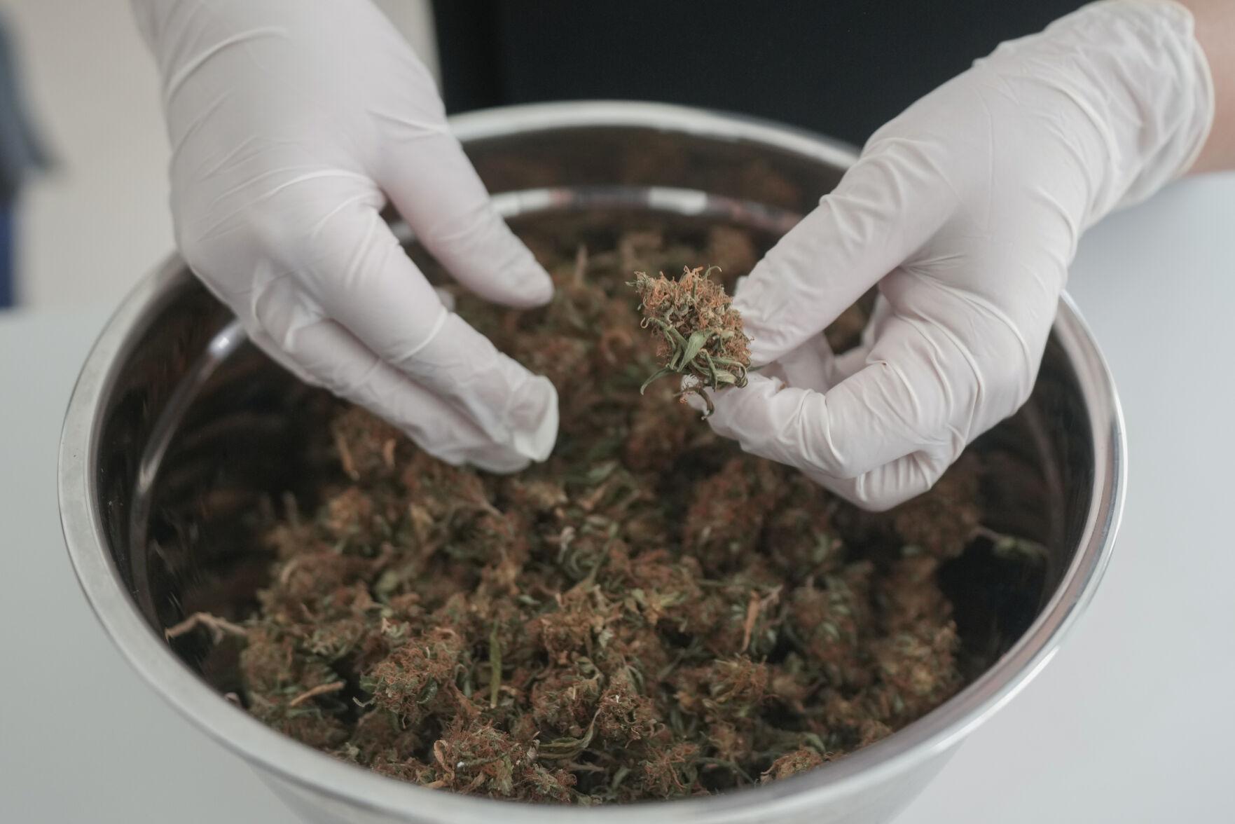 Brazil Medical Cannabis