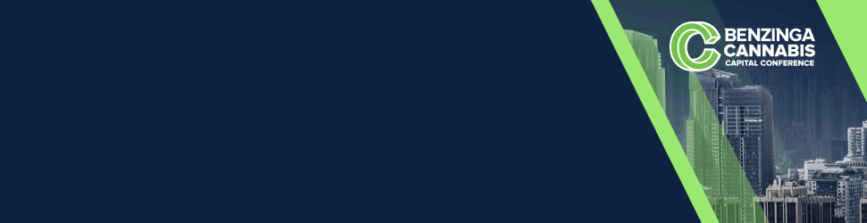 Colorado's Psilocybin Industry Takes Off: New Rules For Magic Mushroom Businesses