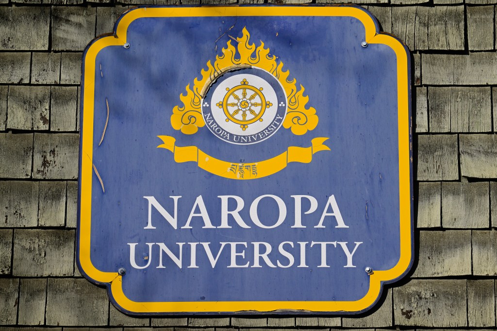 Boulder’s Naropa University launches psychedelic mushrooms certificate
