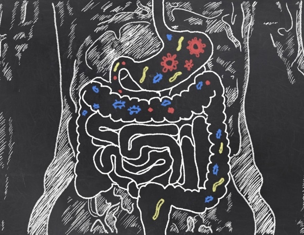 Early exposure to 'forever chemicals' alters gut microbiome and increases metabolic disease risk