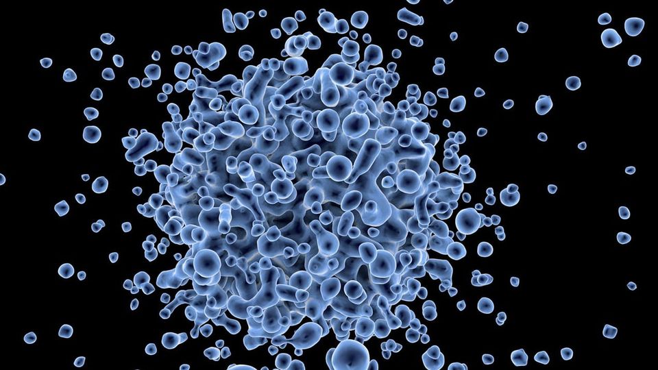AI Spots Cancer and Viral Infections at Nanoscale Precision